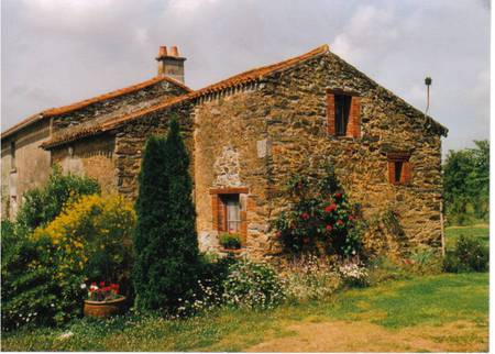 House and Garden - house, climbing roses, garden, grass, building