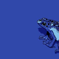 Blue Frog