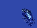 Blue Frog