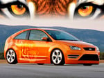 ford focus tiger