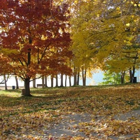 AUTUMN IN THE OKANAGAN