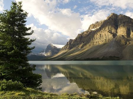 Wood Lake - wood, green, lake, trees