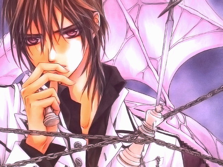 Vampire kNIGHT  kaname - blood, vampire, calm