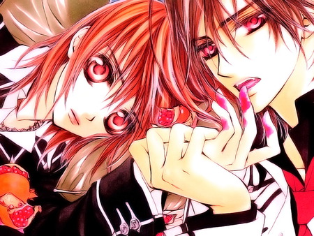 Vampire Knight - kaname, blood, vampire, yuki