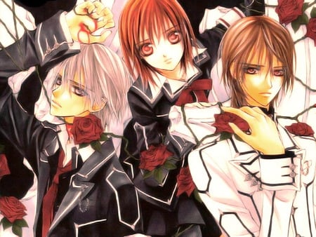 vampire Knight - kaname, vampire, yuki, zero