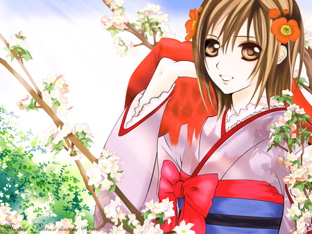 Vampire Yuki Cross - yuki, yukata, cute