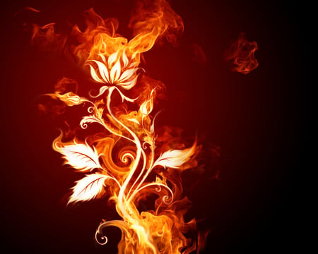 Fiery Flower  - abstract, fantasy, fire, flower