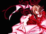 Vampire Knight Yuki Croos