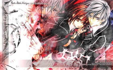 Vampire Knight  - vampire, yuki, zero, together