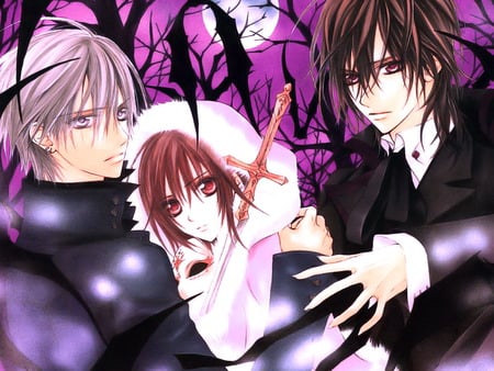 vampire Knight winter - blood, vampire, night