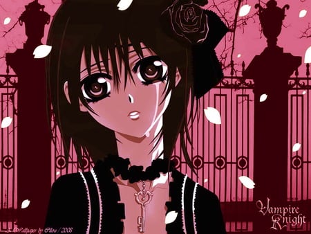 Vampire KNIGHT Yuki - night, sad, cry