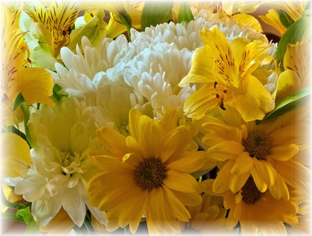 Yellow and white - colors, flowers