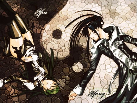 D Gray man lenale and kanda - fight, fate, painful