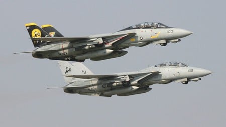 2-TOMS - f14, fighter, jet, tomcat