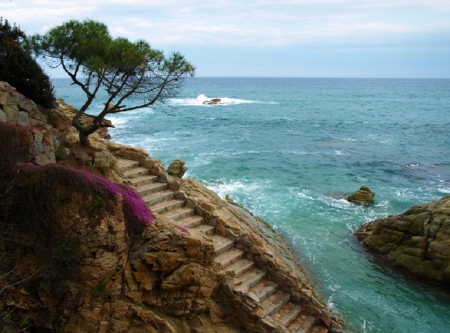 Stairs to the sea - stairs, nature, beach, sea, seaside