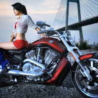 Harley Davidson Motorcycle F1
