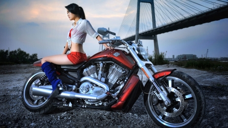 Harley Davidson Motorcycle F1 - Harley Davidson, motorcycle, beautiful, photography, girl, hawg, photo, wide screen, bridge