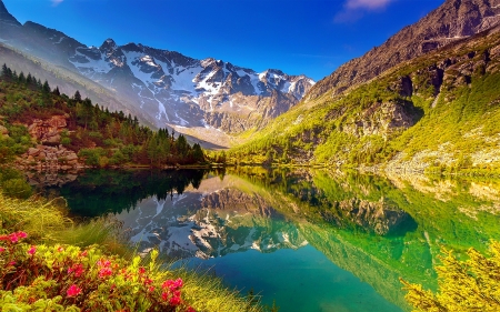 Mountain reflections - hills, beautiful, landscape, reflection, mountain, wildflowers, shore, cliffs, lake, sky, rocks