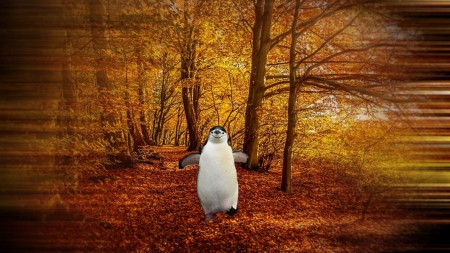 Autumn - penguin, autumn, background, forest