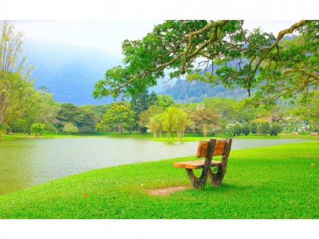 Beautiful View - relax, lake, trees, park