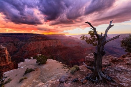 Grand Canyon sunset - cool, fun, desert, grand canyon, sunset, nature