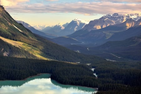 Peyto Lake - lake, forest, cool, fun, nature, mountain