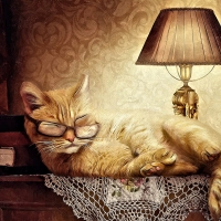 Cool Cat