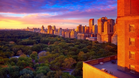 central park on a worm sunset hdr - trees, sunset, hdr, skyscrapers, city, park