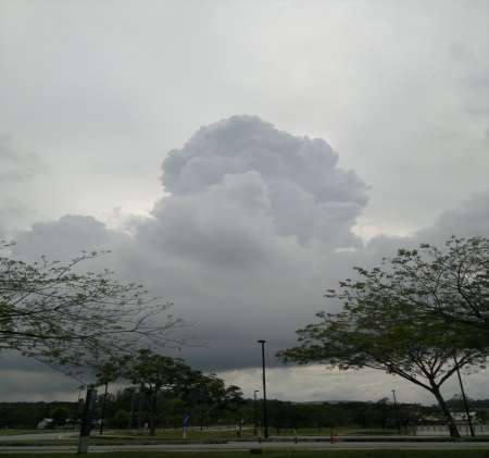 The Cloud - real, nature, sky, cloud