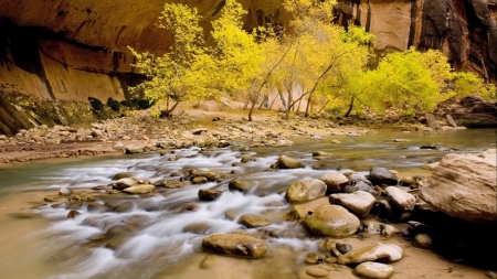 creek at the bottom of a canyon - nature, fall, canyons, water, seasons, rocks, creek