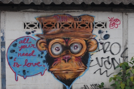 love in chiang Mai - amazing, painting, art, monkey, wall