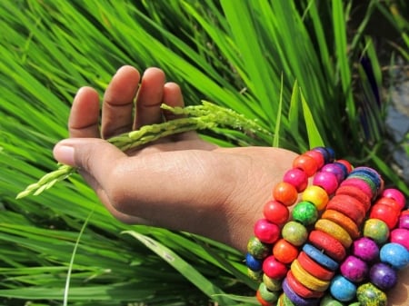 Friendship Belt - hand, girl, belt, colorful