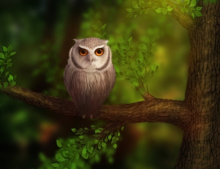 Owl - nature, season, autumn, forest, leaves, tree, owl, bird