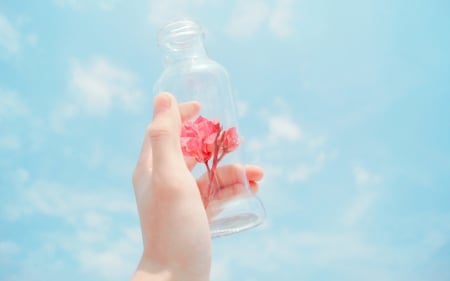 Flowers in the Bottle - flowers, hand, bottle, sky