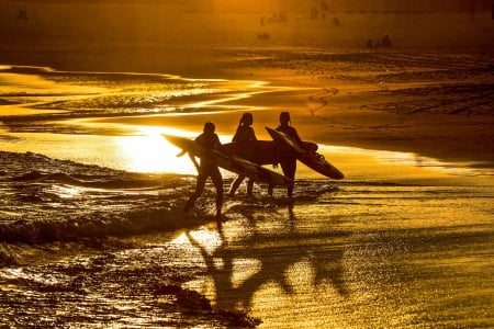 Sunrise on the beach - silhouette, beach, people, summer, boards, yellow, golden, sunrise, sand, sea