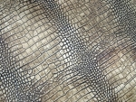 Crocodile skin