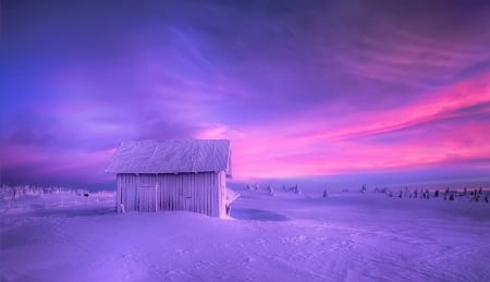 Winter - cottage, purple, pink, snow, winter, house, norwey