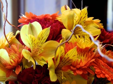 Fall Flowers - blossoms, lilies, petals, bouquet, gerbera