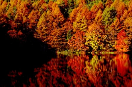 AUTUMN LAKE - lake, reflection, nature, autumn