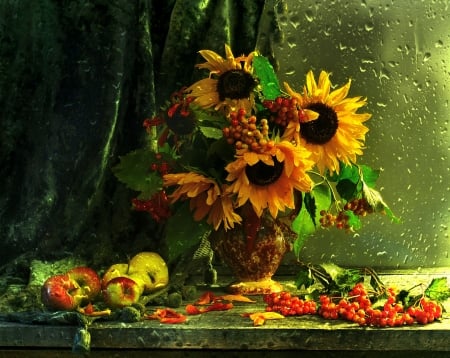 stil life - stil, sunflower, rain, life