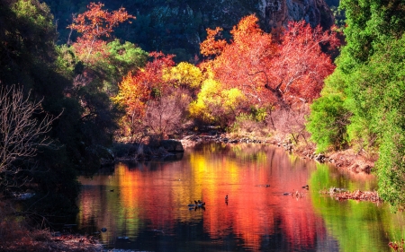 Fall Colours in Malibu Canyon, California - reflections, trees, nature, autumn