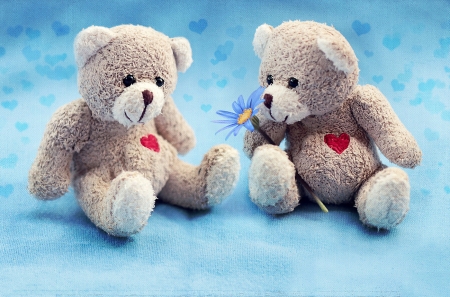 Teddy Love - cute, Love, Teddy, romantic