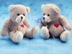 Teddy Love