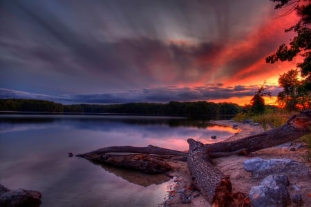 An evening at Lake of the Woods - nature, lake, sunset, woods