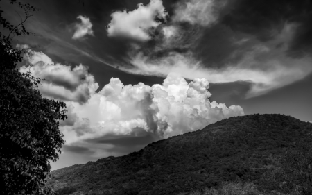 clouds over a mountain in black and white - clouds, bW, mountain, tree