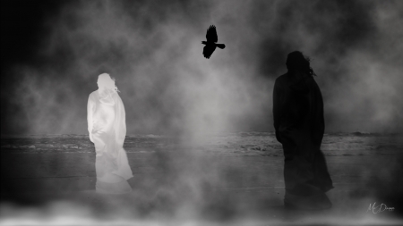 My Shadow - ghost, spirit, raven, Halloween, seaside, haunted, ghostly, shore, crow