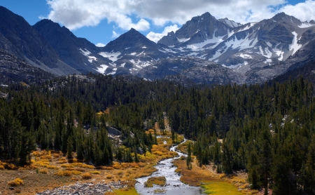 Splendor our planet - tree, amazing, mountain, earth