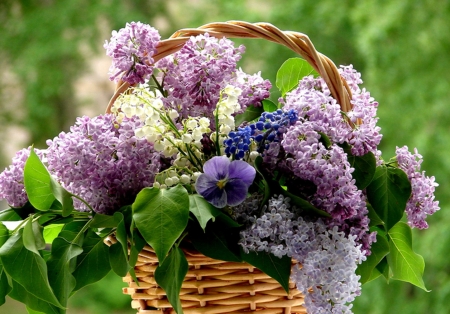 Basket Of Flowers - purple, basket, flower, beautiful