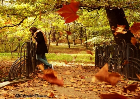 autumn - leaves, women, trees, autumm