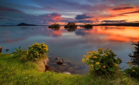 Sunset - sky, lake, sunset, amazing, reflection, clouds, beautiful, sea, wildflowers